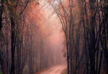 微乐家乡麻将为何如此受欢迎？